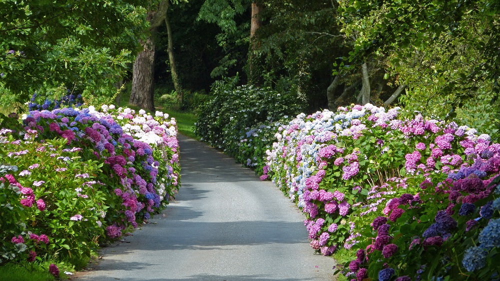 flower bed landscaping ideas