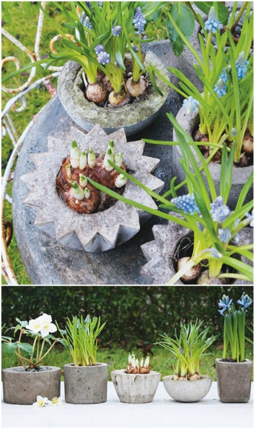 DIY Concrete Planters