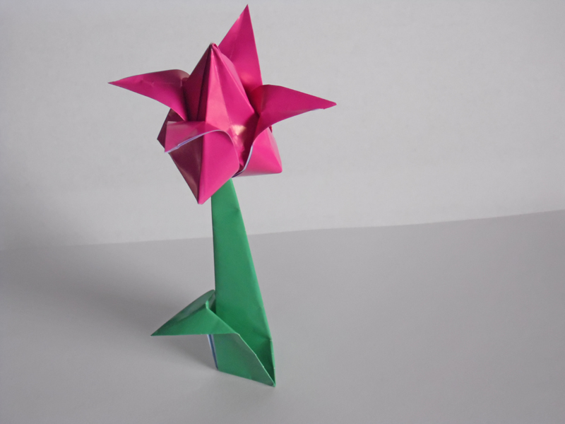 180246 800x600 origami tulip 09