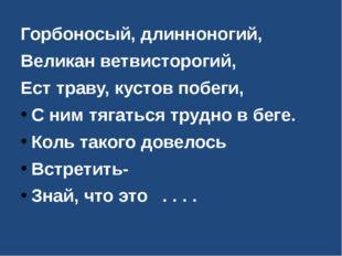 Горбоносый, длинноногий, Великан ветвисторогий, Ест траву, кустов побеги, С