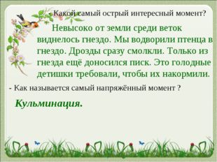 - Какой самый острый интересный момент? Невысоко от земли среди веток виднело