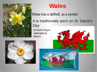 Wales Wales has a daffodil, as a symbol It is traditionally worn on St. Davi