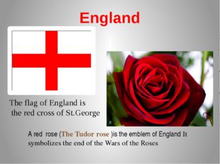 England A red rose (The Tudor rose )is the emblem of England It symbolizes th