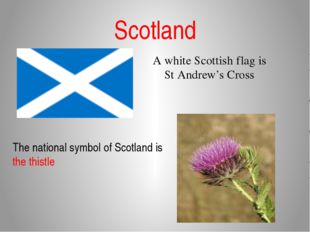 Scotland A white Scottish flag is St Andrew’s Cross The national symbol of Sc