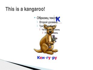 This is a kangaroo! 