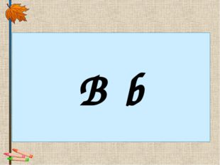  B b 