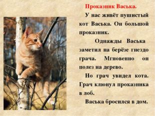 Проказник Васька. У нас живёт пушистый кот Васька. Он большой проказник. 	О