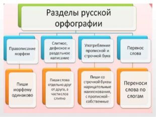 Что такое орфография? Это слово пришло к нам из греческого языка: «орфос» – п