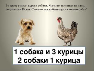 Во дворе гуляли куры и собаки. Мальчик посчитал их лапы, получилось 10 лап. С