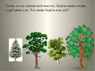 Сосна и ель одинаковой высоты. Берёза выше сосны, а дуб ниже ели. Что выше бе