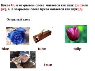 Открытый слог: blue tube tulip true Буква Uu в открытом слоге читается как зв