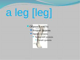 a leg [leg] 
