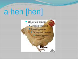 a hen [hen] 