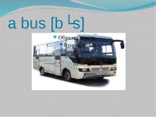 a bus [bʌs] 