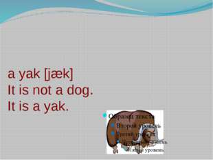 a yak [jæk] It is not a dog. It is a yak. 
