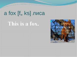 a fox [fɒks] лиса This is a fox. 