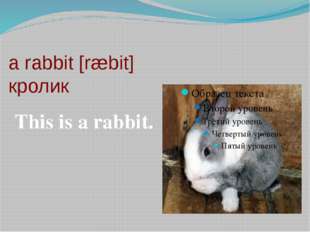 a rabbit [ræbit] кролик This is a rabbit. 