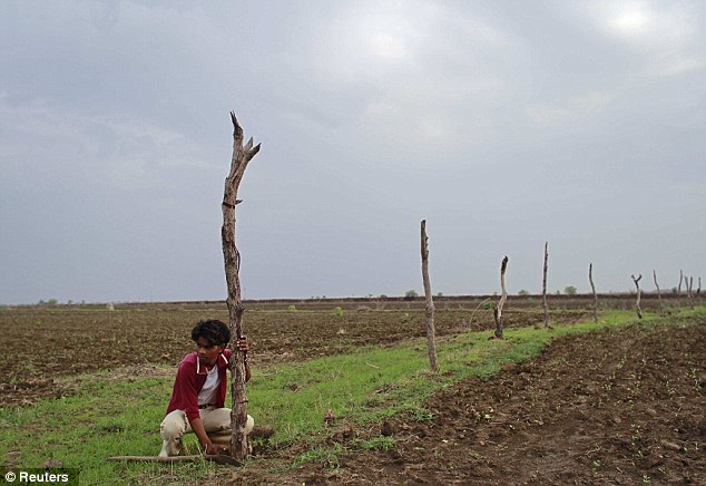 Work: Two years after their wedding Gopal Kishan, now 15, works in his family