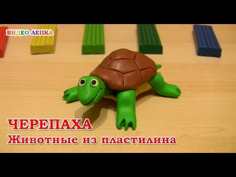 Лепим ЧЕРЕПАХУ из пластилина 